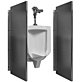 Urinal Partition image
