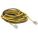 RALLONGE ÉLECTRIQUE LUMINEUSE, CORDON 100 PI, 12 AWG, 12/3, SJTW, NEMA 5-15P
