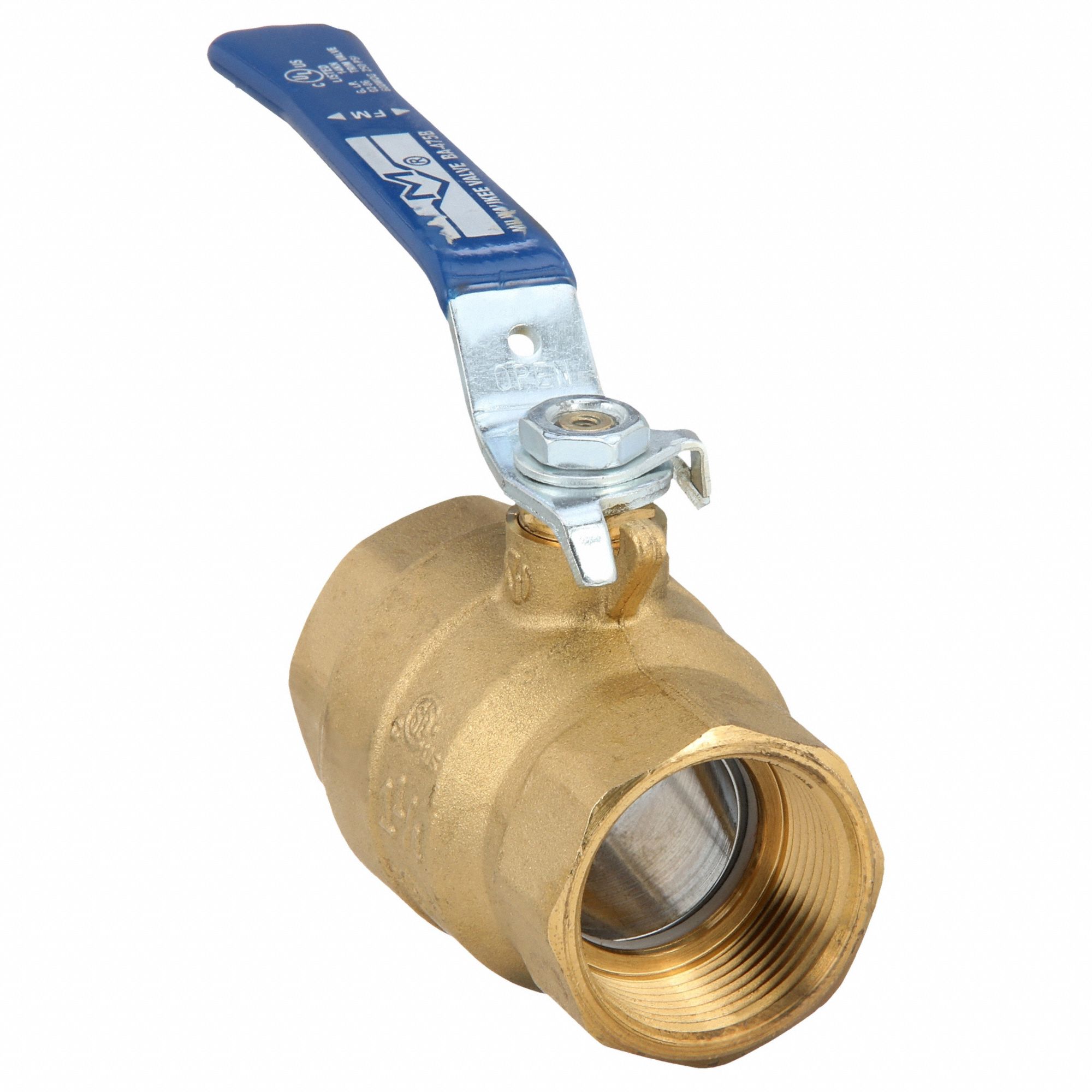Manual Two-Way Ball Valve: 1 1/4 in, Brass, Straight, FNPT x FNPT, Two-Piece, Blue