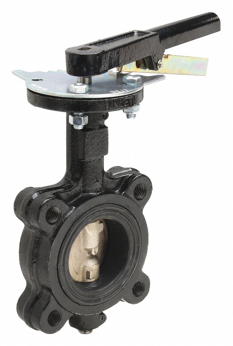 BUTTERFLY VALVE, LUG, 3 IN, CI, BUNA LINER