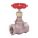 GLOBE VALVE, ¾ IN, BRONZE, FNPT THREAD, 200 PSI