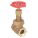 GLOBE VALVE, ¾ IN, BRONZE, FNPT THREAD, 600 PSI, 300 SWP