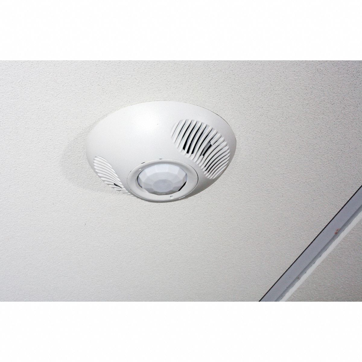 Occ Snsr PIR/Usonic 24V DC 2 000 sq ft