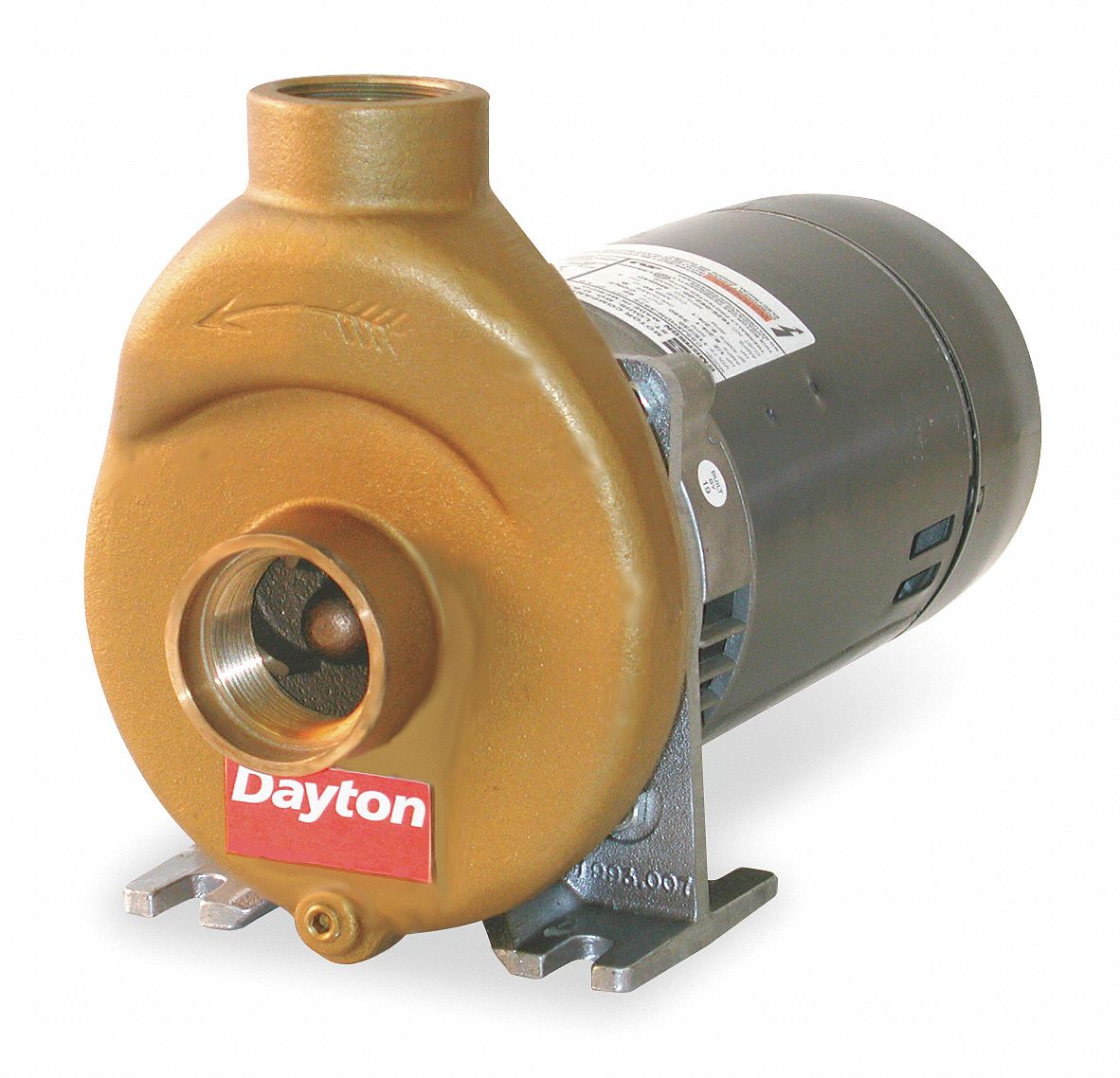 DAYTON 1/2 HP Pool/Spa Pump, Capacitor Start, 8.4/4.2 Amps 1P996