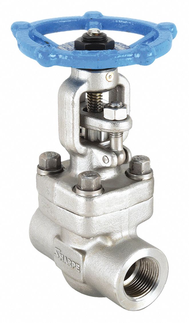 Class 800, 1 in Pipe Size, Outside Stem and Yoke Gate Valve 1PRJ6