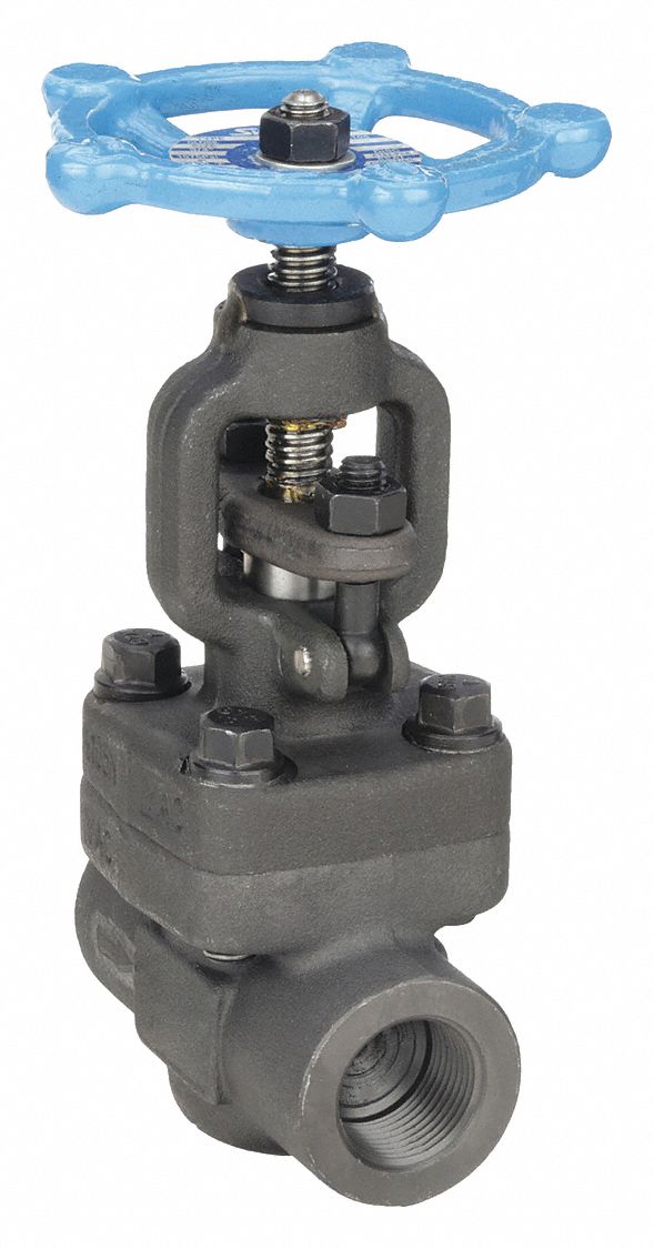 GLOBE VALVE, ¾ IN, STEEL, FNPT THREAD, 1975 PSI