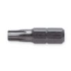 Torx(R) Hand Insert Bits