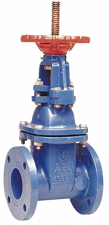 300# Carbon Steel Flanged Outside Stem and Yoke Gate Valve FNW 2-1/2 in 