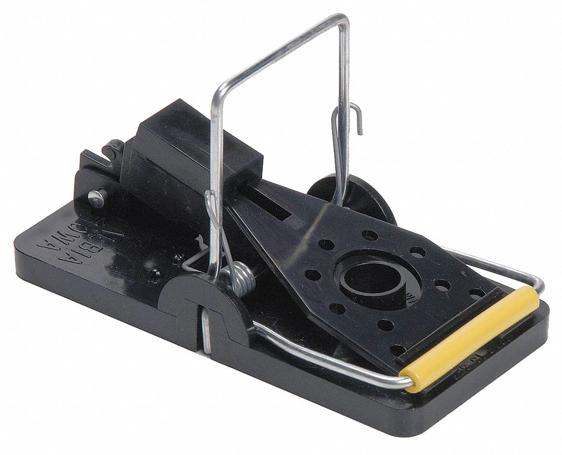 Mouse Trap: Mouse Trap, Indoor and Outdoor, Snap Trap, 4 in Overall Lg