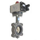 BUTTERFLY VALVE,DBL ACTING,CAST IRON,3IN