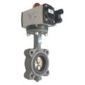 Pneumatically-Actuated Butterfly Valves