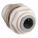 Primary Product Image