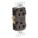 RECEPTACLE, DUPLEX, BROWN, 5-20R, 20 A, 125V AC, 2 POLE/3 WIRE, SCREW TERMINALS