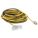 RALLONGE ÉLECTRIQUE LUMINEUSE, CORDON 100 PI, 12 AWG, 12/3, SJTW, NEMA 5-15P, ROND
