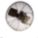 Product 360° Viewer - click to launch