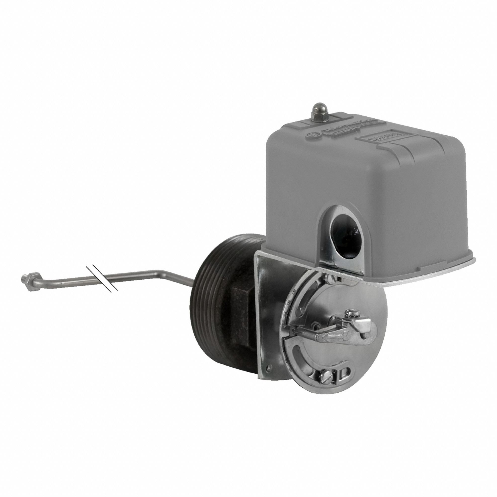 Liquid Level Switch: Close On Rise, DPST-2NC, Steel