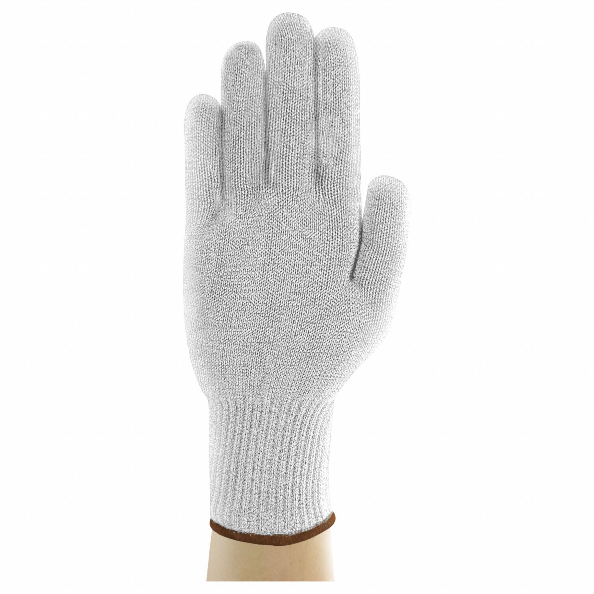 VF Glove Sz 8 36J104 PR