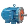 Motors for Rotary Gear Pumps