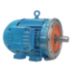 Motors for Rotary Gear Pumps