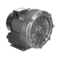 Regenerative Blowers