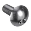 Class 4.6 Steel Square Neck Carriage Bolts