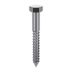 18-8 Stainless Steel Hex Head Lag Screws