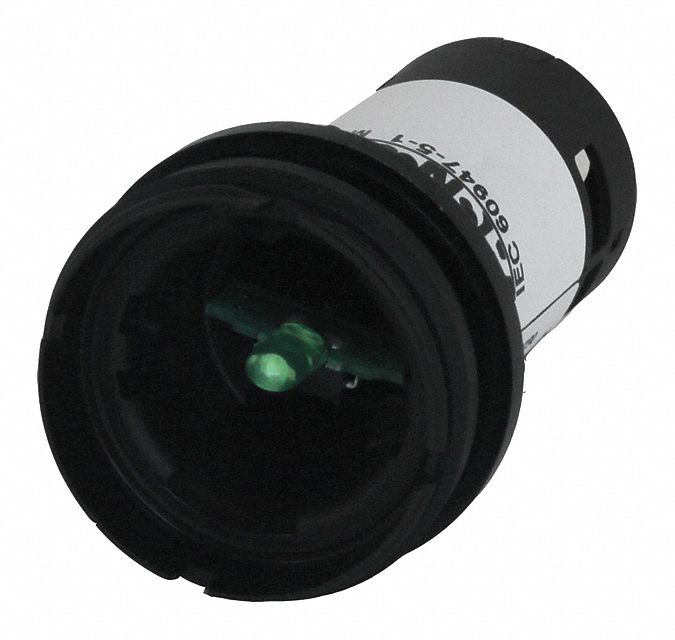 Flush Panel Light,  Green Bulb,  120 V AC