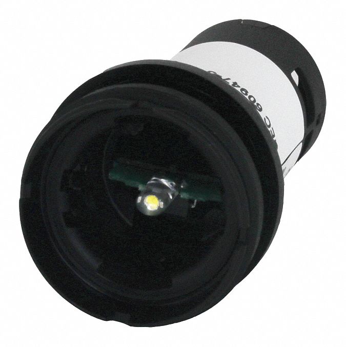 Flush Panel Light,  White Bulb,  120 V AC