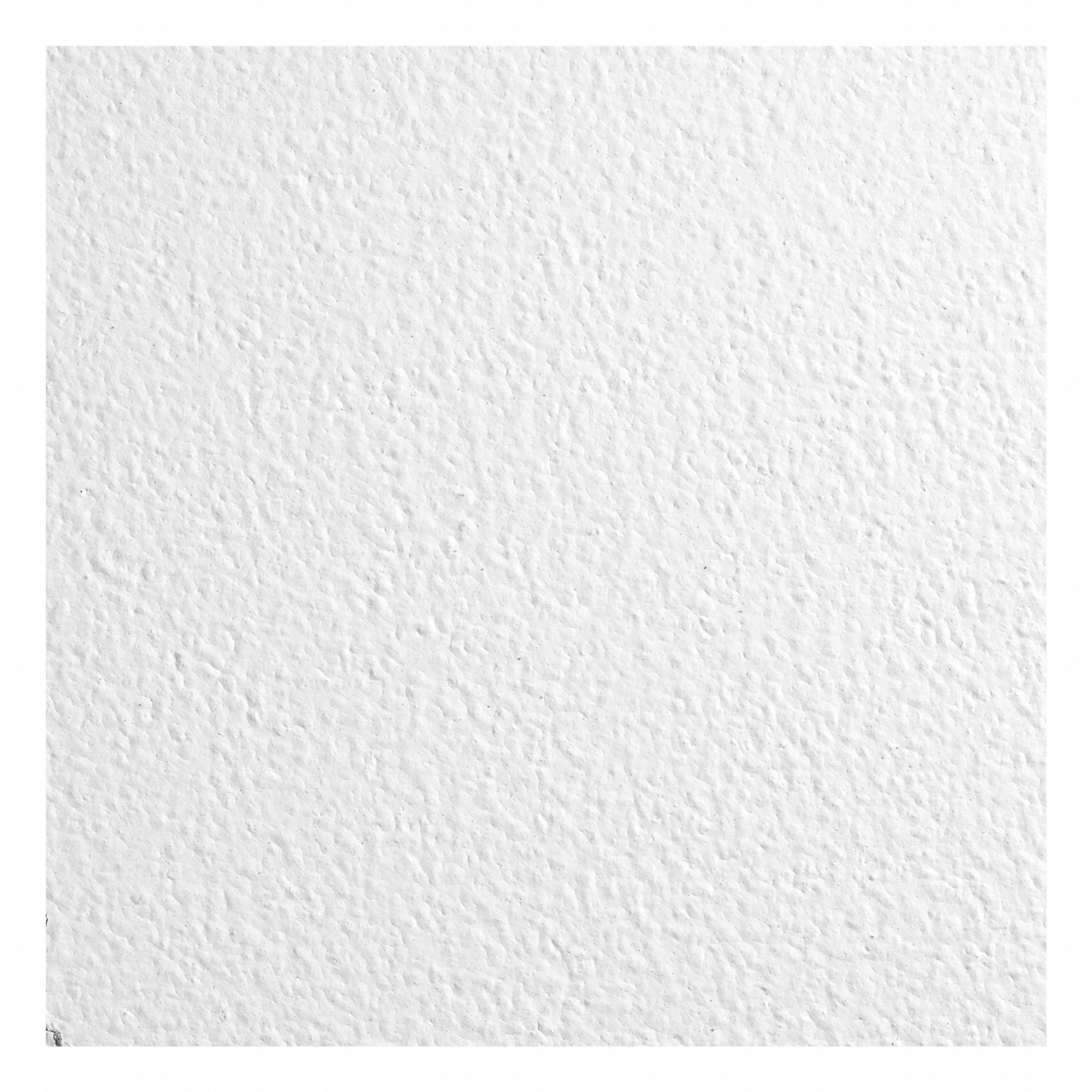 Ceiling Tile 48 in L 24 in W PK12