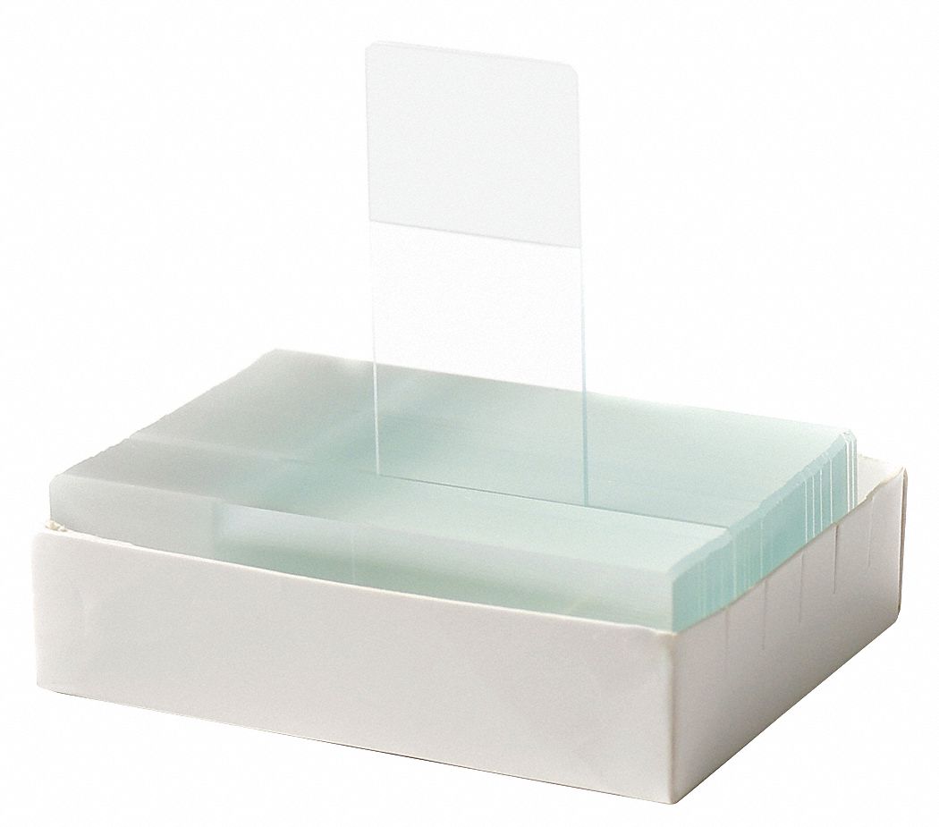 LAME,COIN TAILLE,BORDS RODES,P