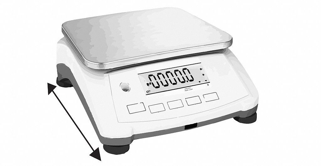 Industrial food clearance scales