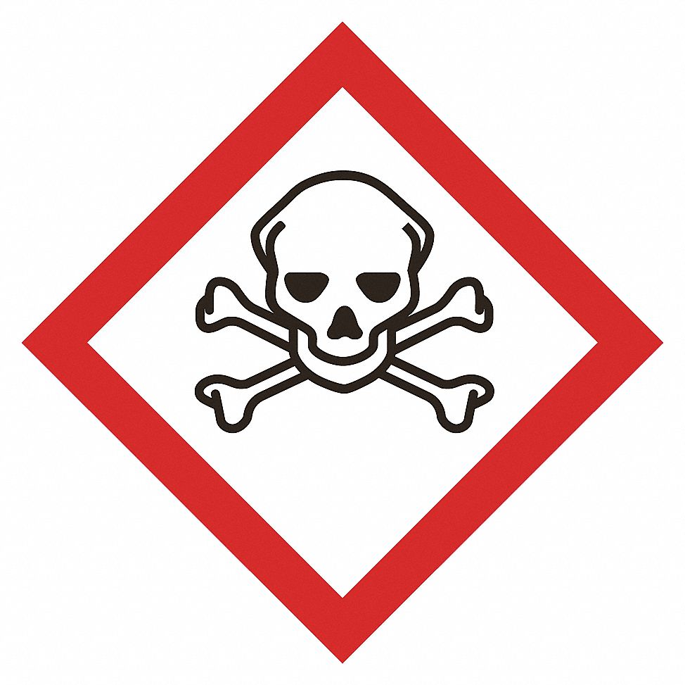 SKULL CROSSBONES(10.75X10.75)
