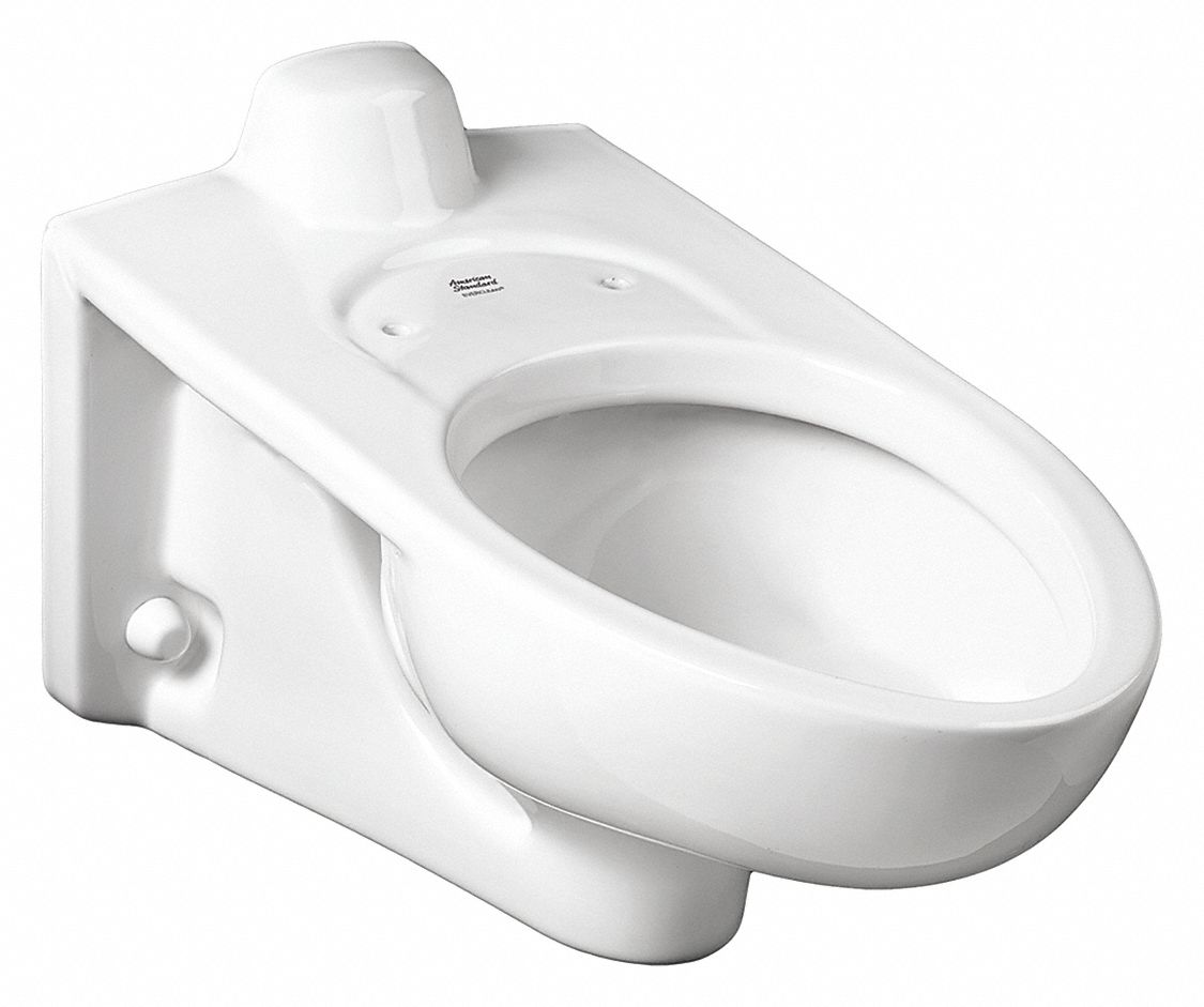 Bedpan Holding Toilet Bowl: Wall, 1.6 gpf_1.1 gpf_1.28 gpf Gallons per Flush