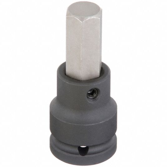 WESTWARD, Metric, 3/4 in Drive Size, Impact Socket Bit - 20HX53