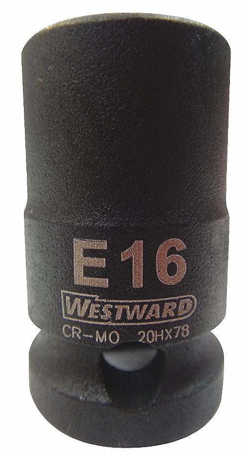 WESTWARD Impact Socket 3/8 in Drive Size, E16 Socket Size, External