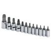 Tamper-Resistant Torx Socket Bit Sets