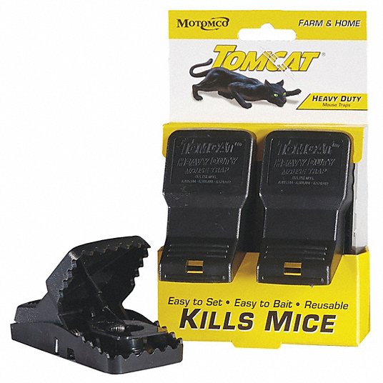 TOMCAT Mouse Trap: Mouse Trap, Indoor Rodent Control, Snap Trap, 2 1/2 in  Overall Lg, 2 PK