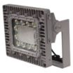 Square Hazardous Location Floodlights