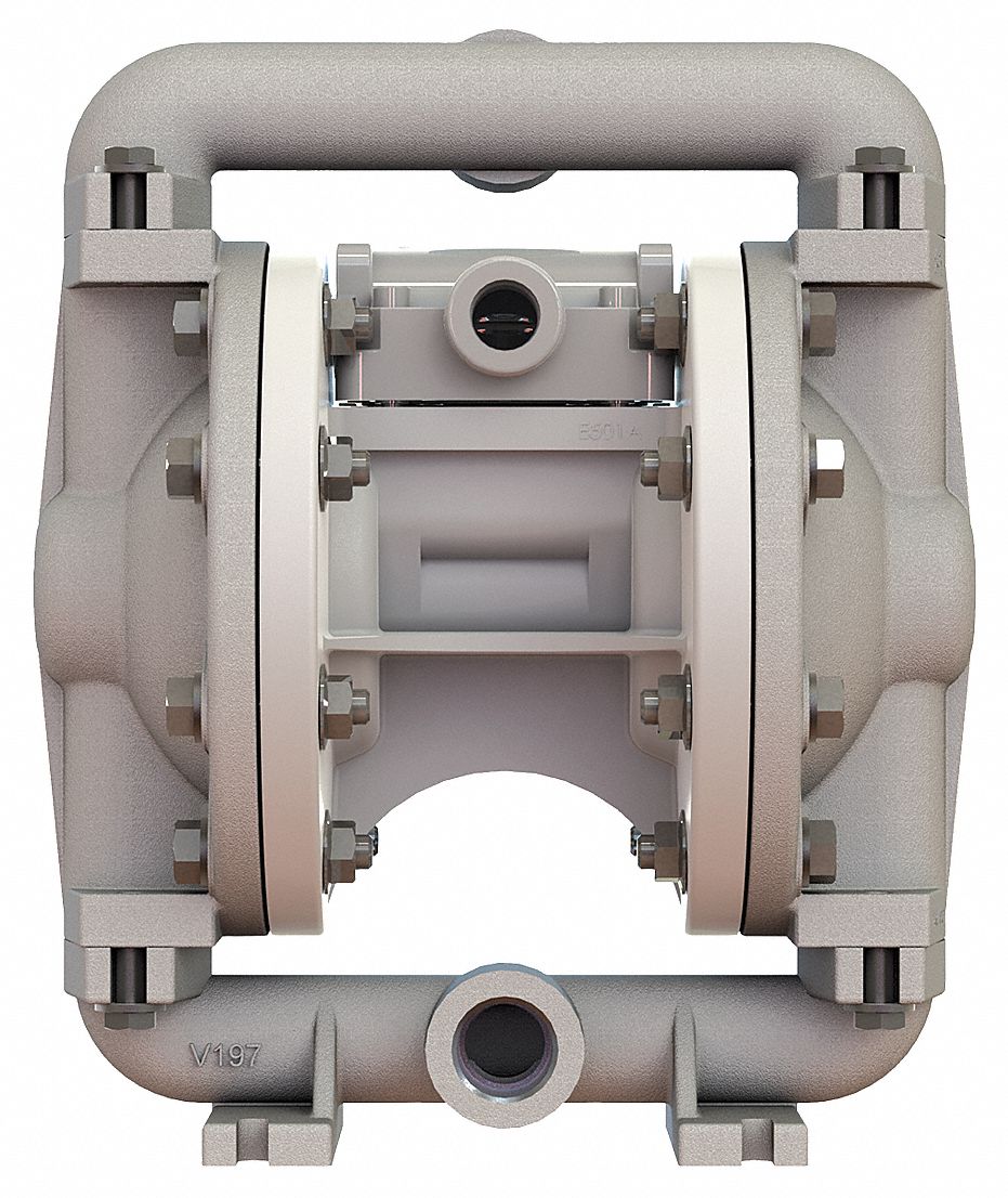 DBLDIAPHPMP,FNPT,BUNA N/ALUM,3/8IN,12GPM