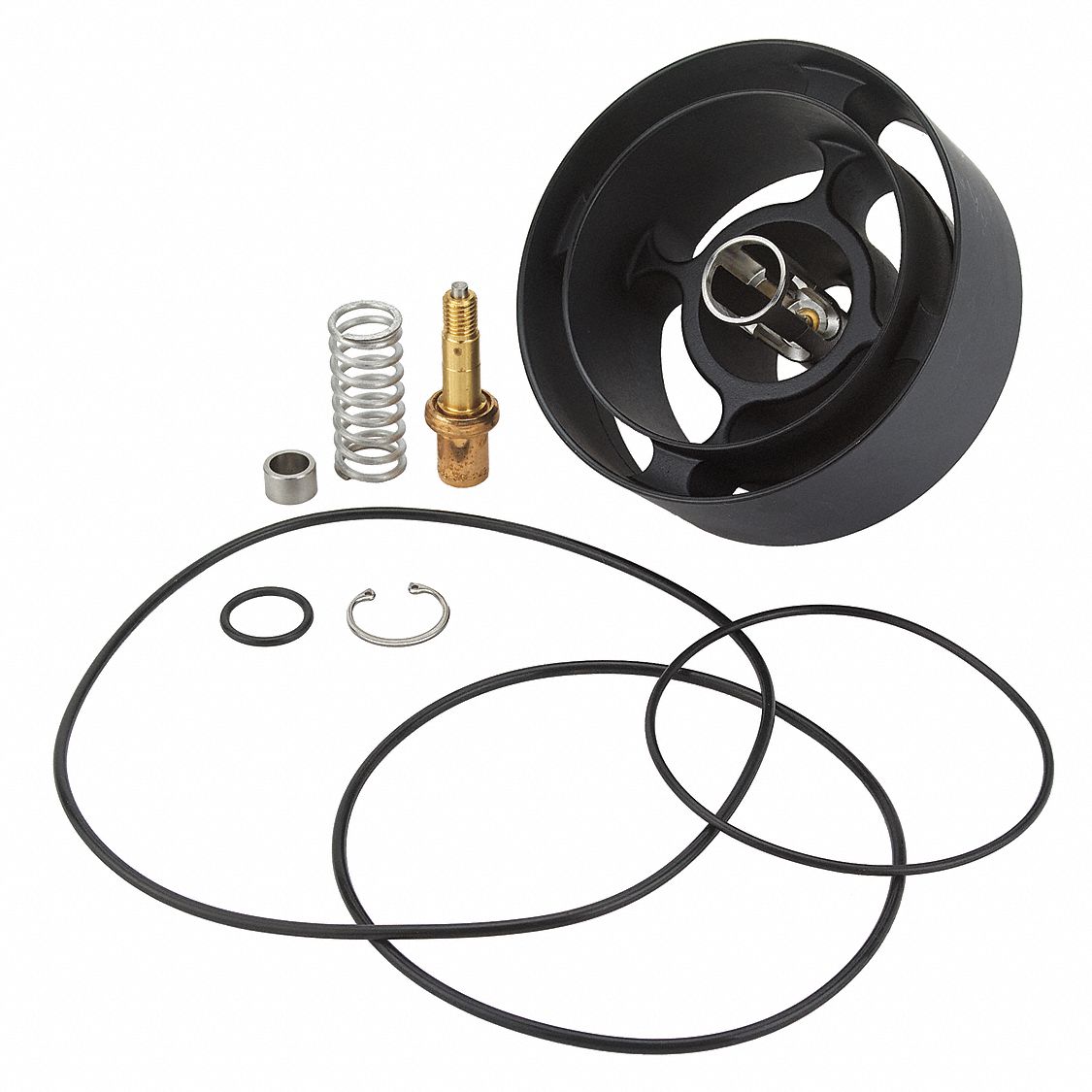 Valve Repair Kit: Compatible with XL-200-LF Series Series, Stainless Steel