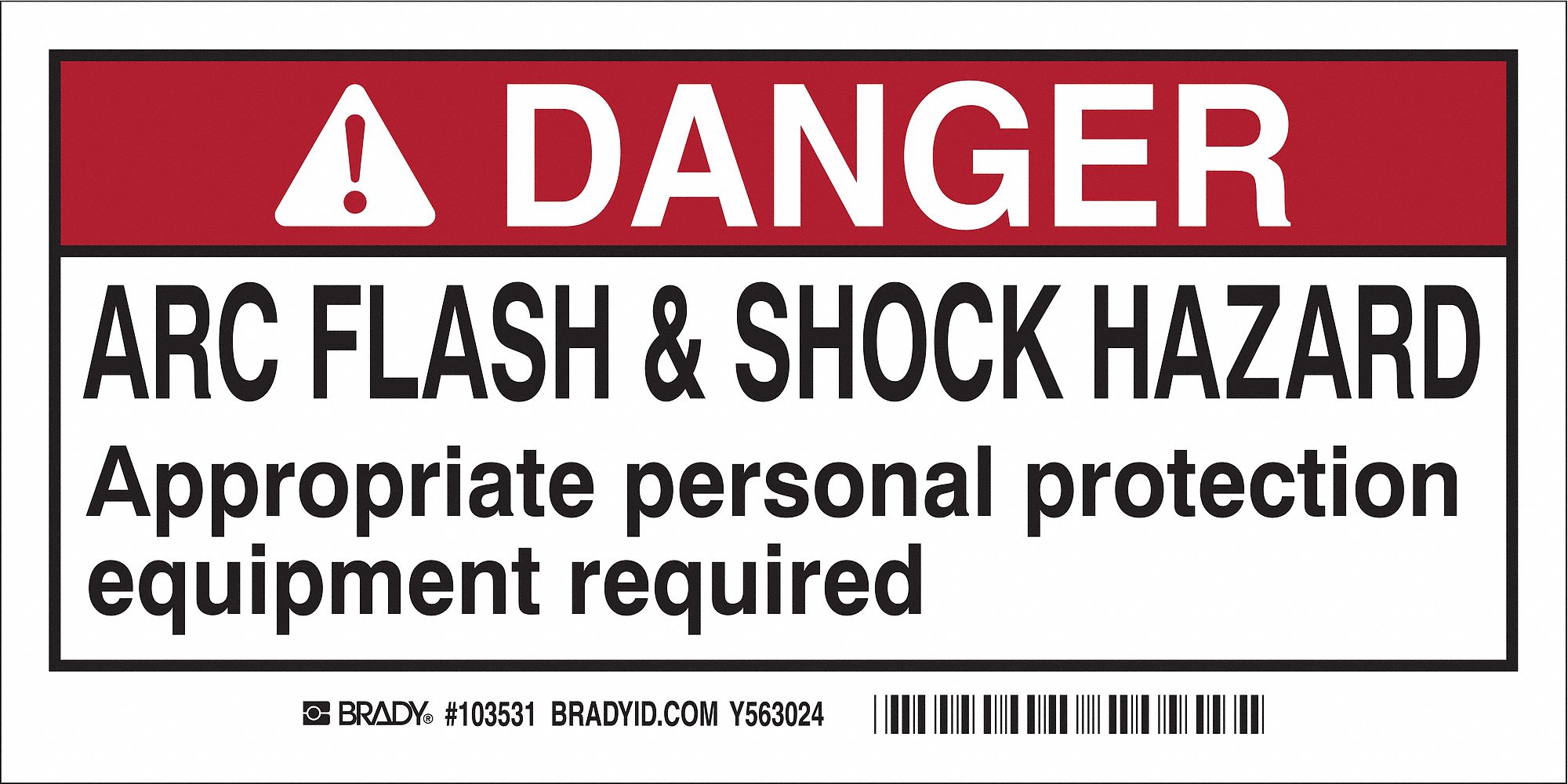 Label, 2 in x 4 in, Polyester, PK10