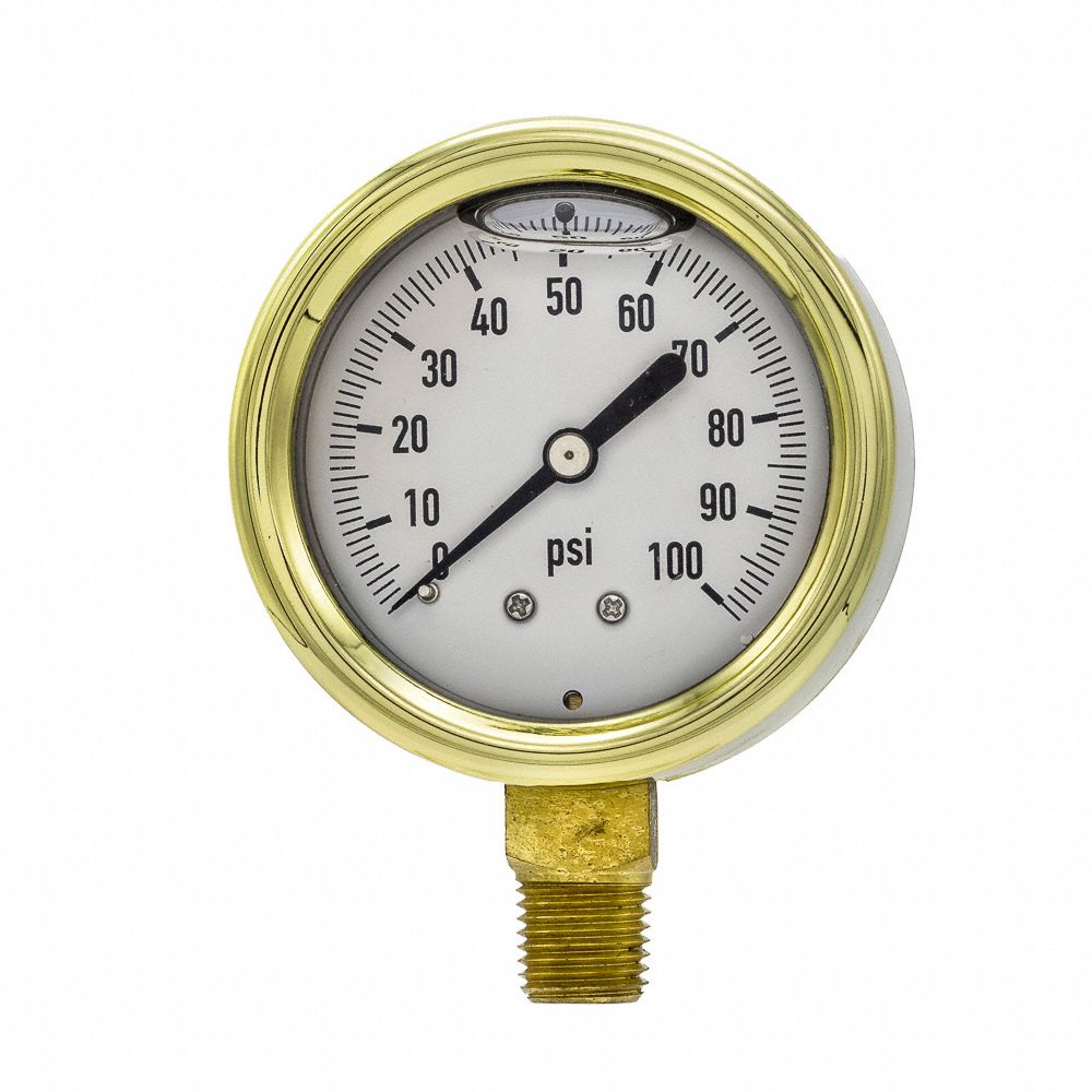 PIC GAUGES Industrial Pressure Gauge 0 to 100 psi, 2 1/2 in Dial