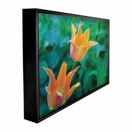 PEERLESS 55 in LCD Flat Screen Landscape Outdoor Display - 20VG71|CL ...