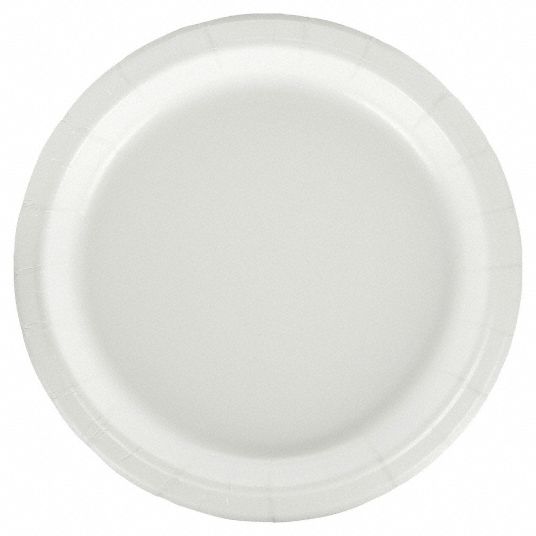 APPROVED VENDOR Disposable Paper Plate: White, Heavy-Wt, 9 in Disposable  Plate Size, 600 PK