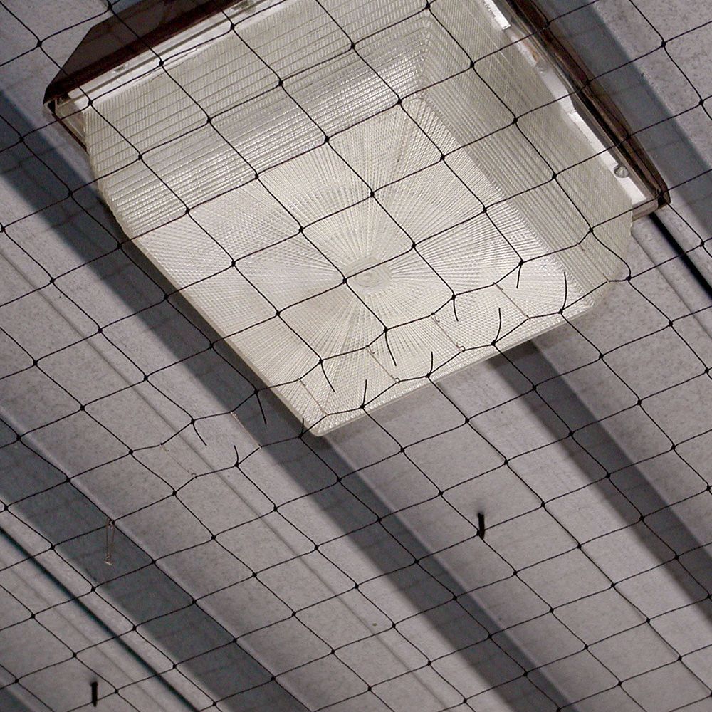 BIRD BARRIER Bird Repellent Netting Bird Control, 10 lb Wt 20YR35N1