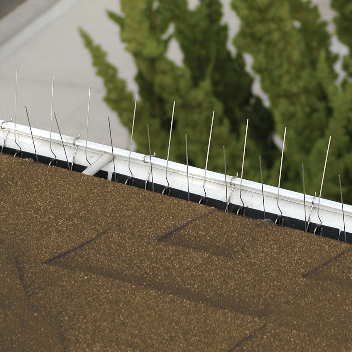 BIRD BARRIER Bird Repellent Spikes, Weight 4 lb, Used For Bird Control