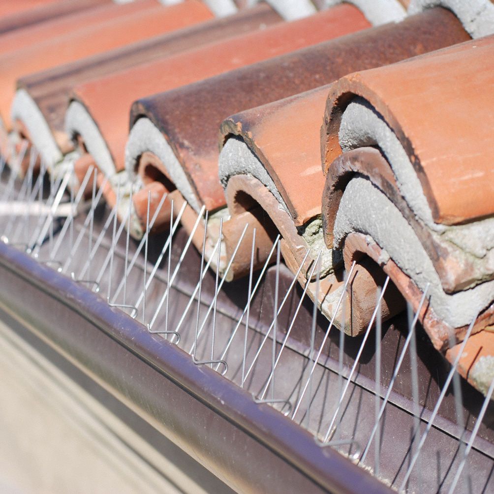 BIRD BARRIER Bird Repellent Spikes, Weight 4 lb, Used For Bird Control