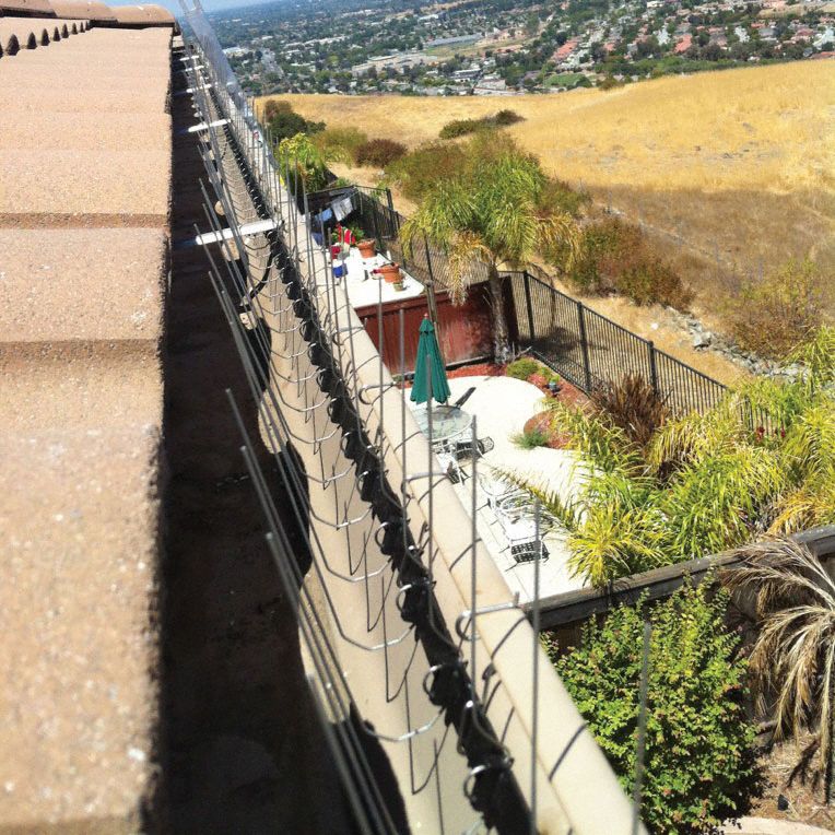 BIRD BARRIER Bird Repellent Spikes Bird Control, 4 lb Wt, 50 PK