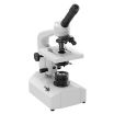 Compound Microscopes