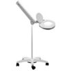 Floor Stand Magnifier Lights